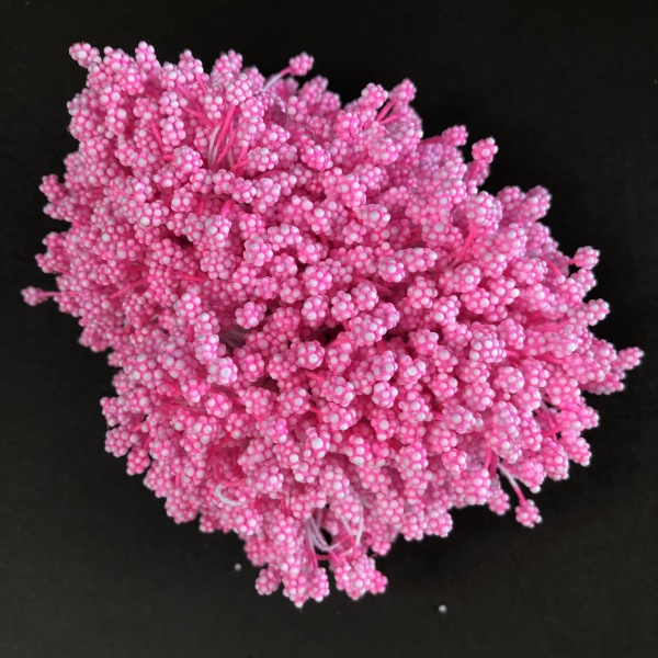 Hot Pink Pollen Head Stamens