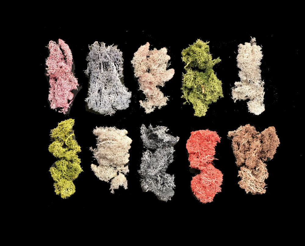 Multibuy of Mosses (10 colours)