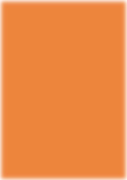 Orange Lily 300gsm Cardstock (5 Sheets)