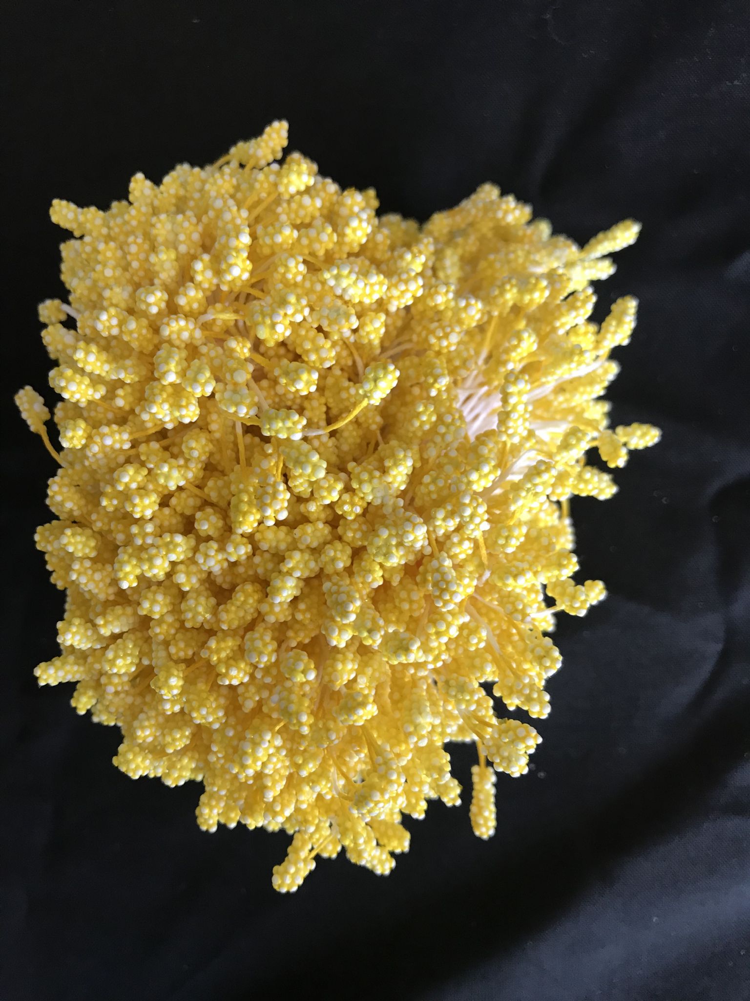 Yellow Pollen Head Stamens