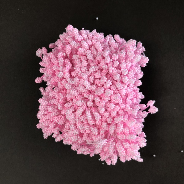 Pale Pink Pollen Head Stamens